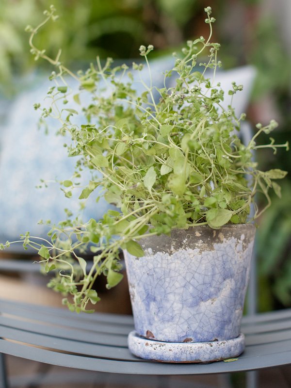 Productos A Simple Mess para esta primavera