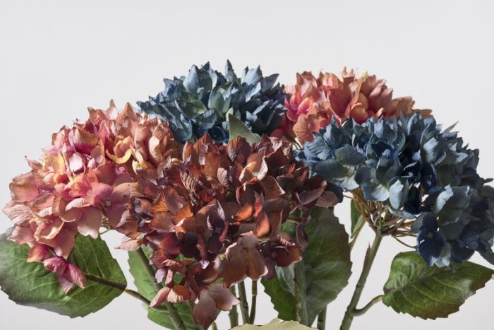 Flores Villa Collection