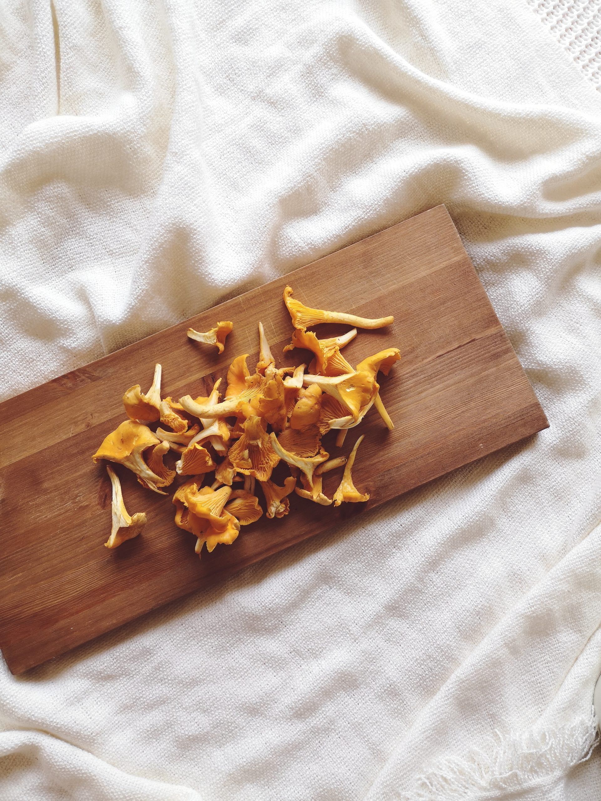 A Taste of Autumn | Mushroom pie recipe