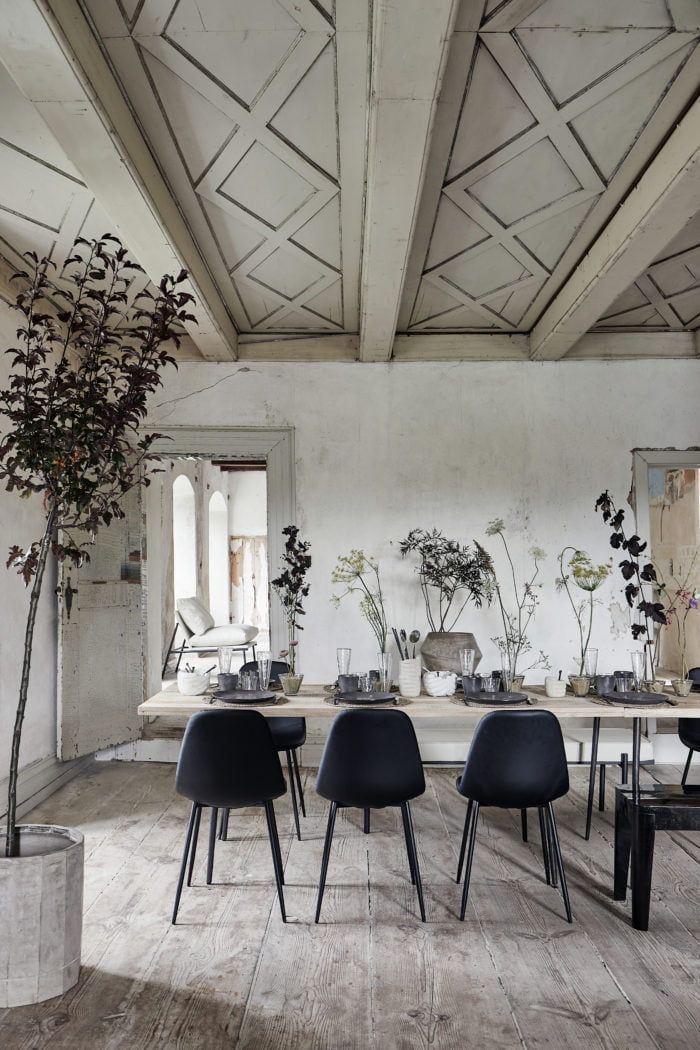 Decoración con plantas en espacio interior
