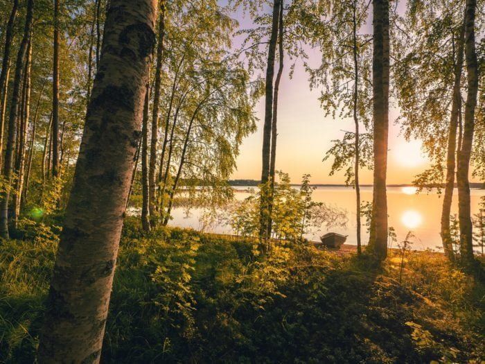 Forest and lake in Finland